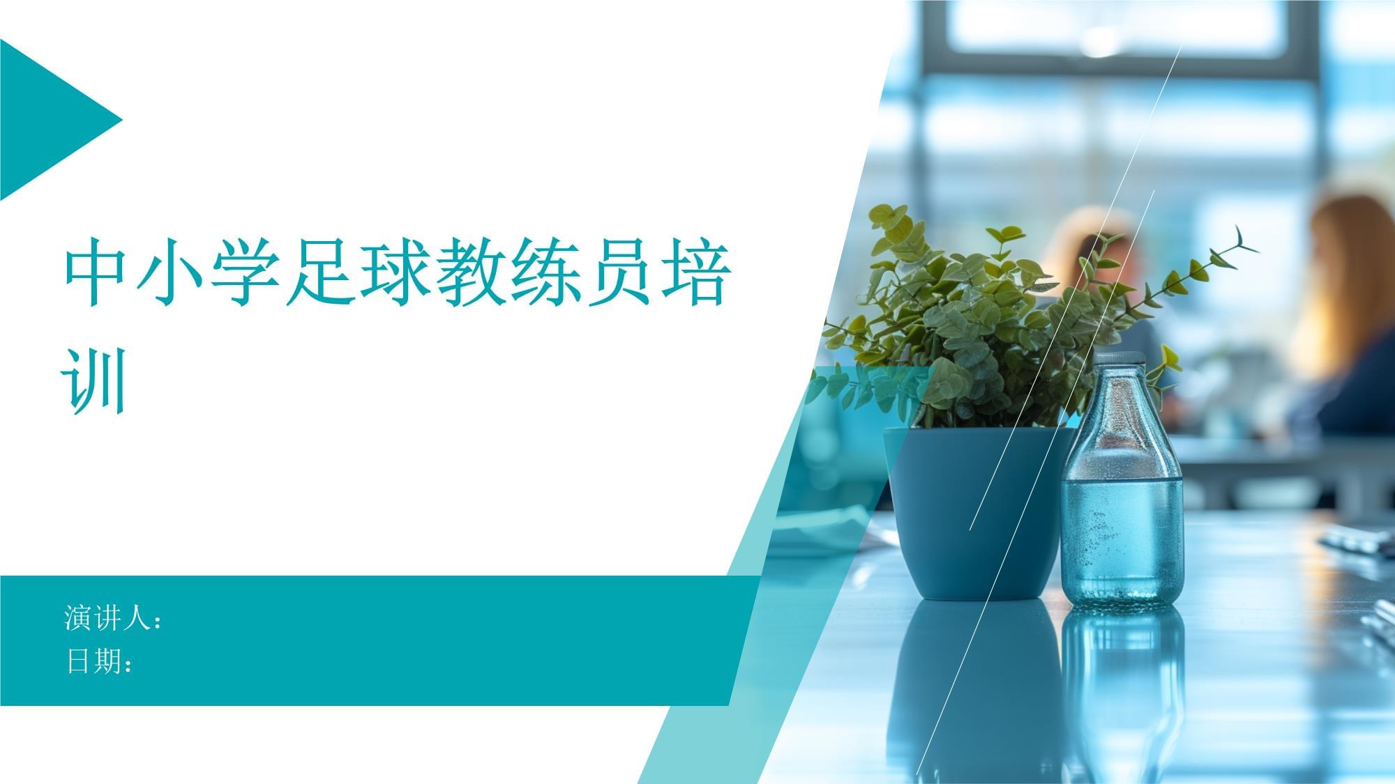 关于青少年足球“导师制”创新试点，提升培训品质的信息