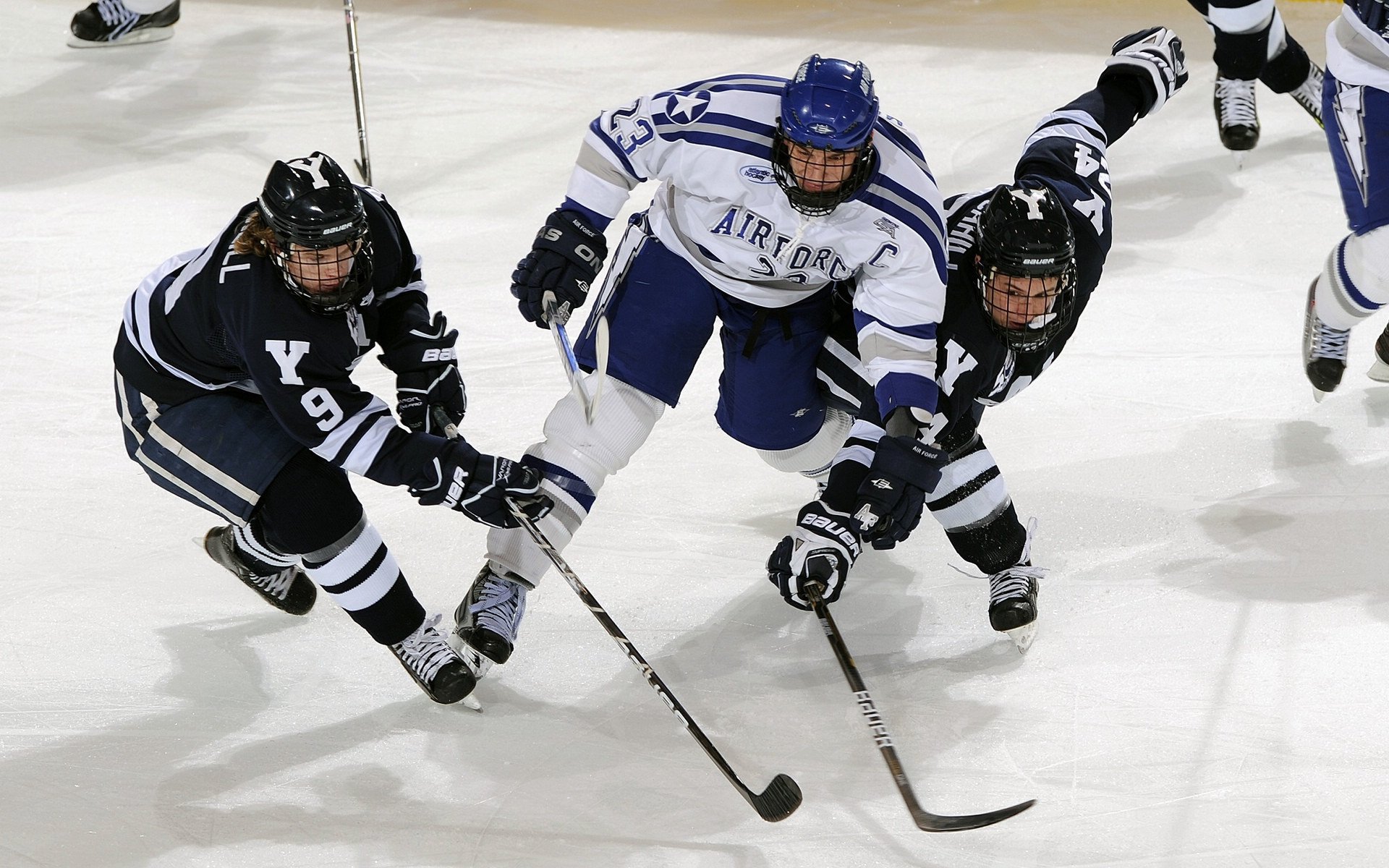 世界冠军的秘密：冠军球队的训练秘诀，冠军技巧